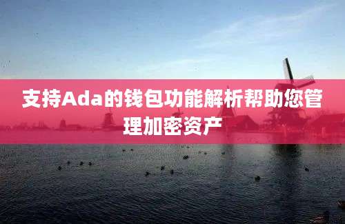 支持Ada的钱包功能解析帮助您管理加密资产