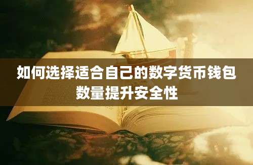 如何选择适合自己的数字货币钱包数量提升安全性