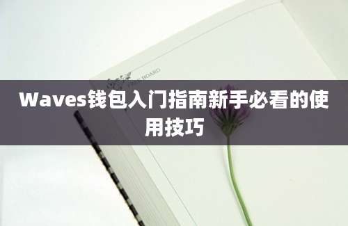 Waves钱包入门指南新手必看的使用技巧