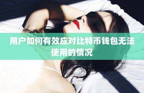 用户如何有效应对比特币钱包无法使用的情况