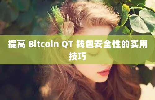 提高 Bitcoin QT 钱包安全性的实用技巧