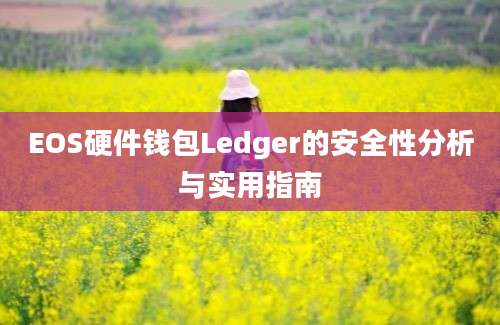 EOS硬件钱包Ledger的安全性分析与实用指南