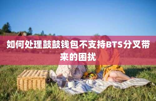 如何处理鼓鼓钱包不支持BTS分叉带来的困扰