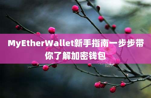 MyEtherWallet新手指南一步步带你了解加密钱包