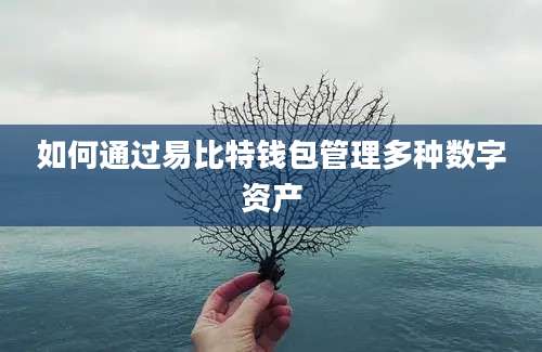 如何通过易比特钱包管理多种数字资产