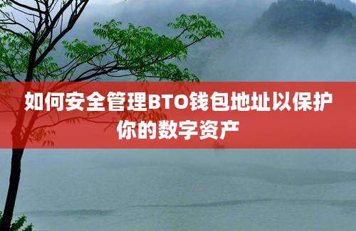 如何安全管理BTO钱包地址以保护你的数字资产