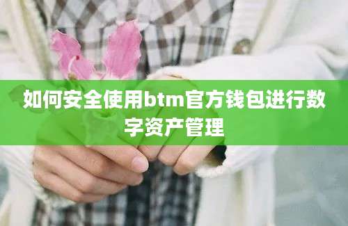 如何安全使用btm官方钱包进行数字资产管理