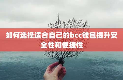 如何选择适合自己的bcc钱包提升安全性和便捷性