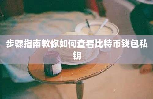 步骤指南教你如何查看比特币钱包私钥