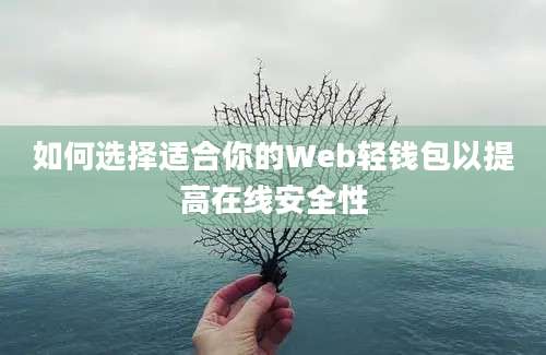 如何选择适合你的Web轻钱包以提高在线安全性