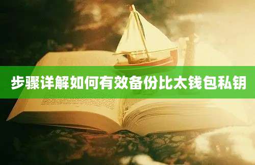 步骤详解如何有效备份比太钱包私钥