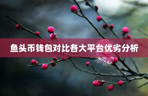 鱼头币钱包对比各大平台优劣分析