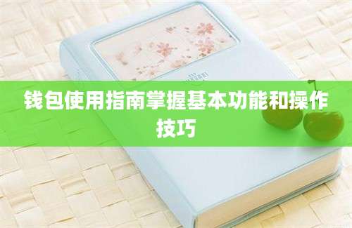 钱包使用指南掌握基本功能和操作技巧