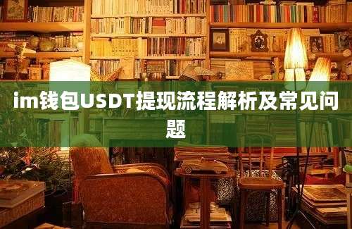 im钱包USDT提现流程解析及常见问题