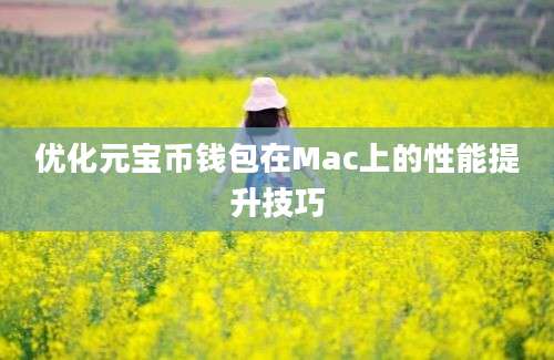 优化元宝币钱包在Mac上的性能提升技巧