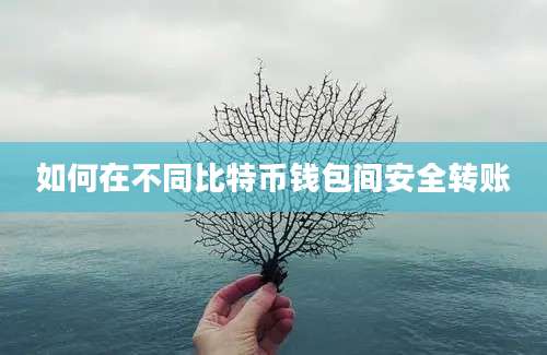 如何在不同比特币钱包间安全转账