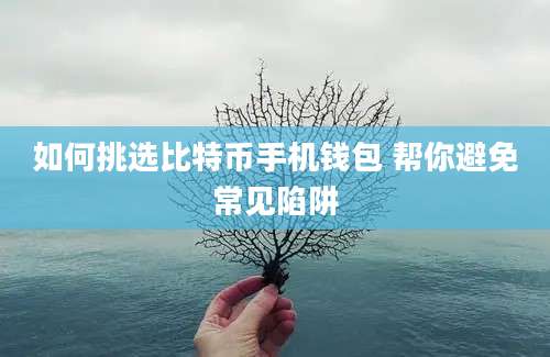 如何挑选比特币手机钱包 帮你避免常见陷阱