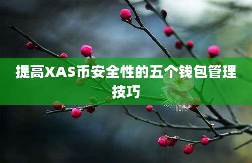 提高XAS币安全性的五个钱包管理技巧