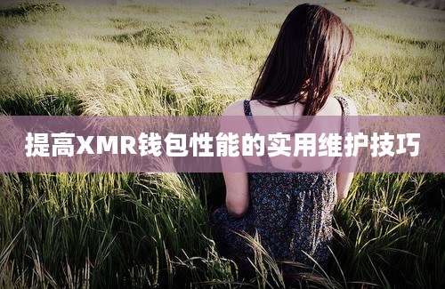 提高XMR钱包性能的实用维护技巧