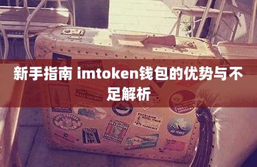 新手指南 imtoken钱包的优势与不足解析