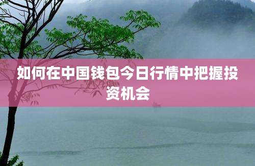 如何在中国钱包今日行情中把握投资机会