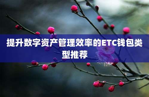 提升数字资产管理效率的ETC钱包类型推荐