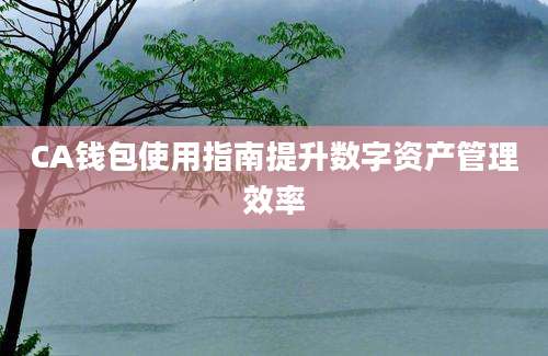 CA钱包使用指南提升数字资产管理效率