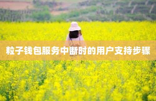 粒子钱包服务中断时的用户支持步骤