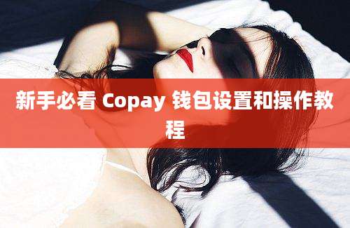 新手必看 Copay 钱包设置和操作教程