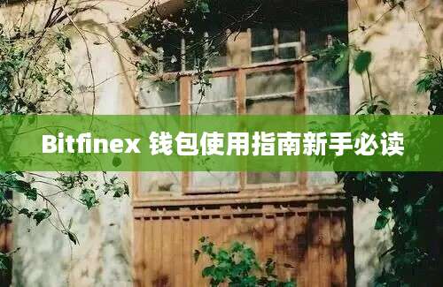 Bitfinex 钱包使用指南新手必读