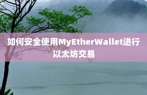 如何安全使用MyEtherWallet进行以太坊交易