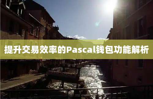 提升交易效率的Pascal钱包功能解析