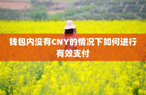 钱包内没有CNY的情况下如何进行有效支付