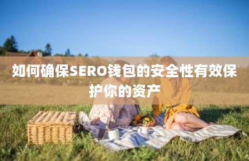 如何确保SERO钱包的安全性有效保护你的资产