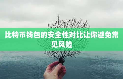 比特币钱包的安全性对比让你避免常见风险