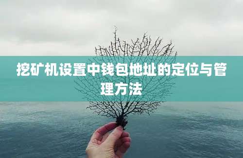 挖矿机设置中钱包地址的定位与管理方法