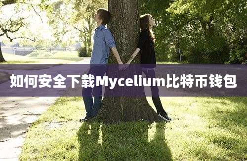 如何安全下载Mycelium比特币钱包