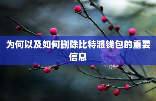 为何以及如何删除比特派钱包的重要信息