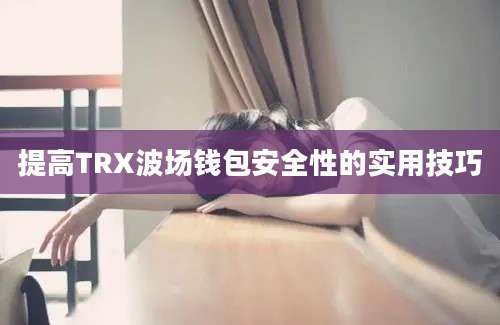 提高TRX波场钱包安全性的实用技巧