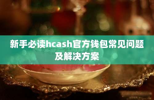 新手必读hcash官方钱包常见问题及解决方案