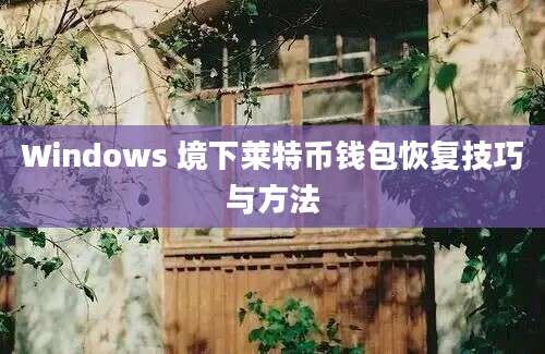 Windows 境下莱特币钱包恢复技巧与方法