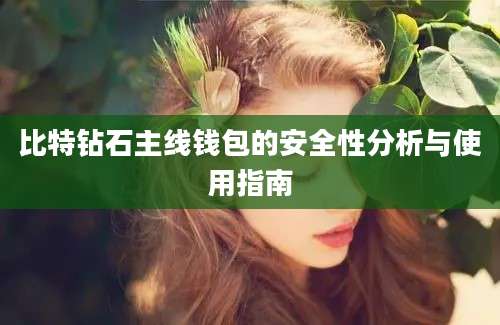 比特钻石主线钱包的安全性分析与使用指南