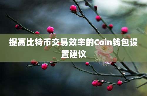 提高比特币交易效率的Coin钱包设置建议