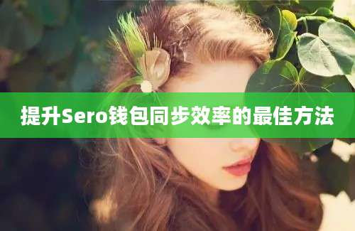 提升Sero钱包同步效率的最佳方法