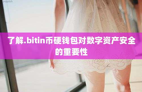 了解.bitin币硬钱包对数字资产安全的重要性