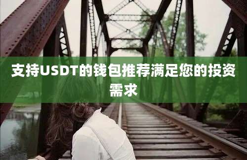 支持USDT的钱包推荐满足您的投资需求