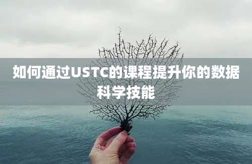 如何通过USTC的课程提升你的数据科学技能