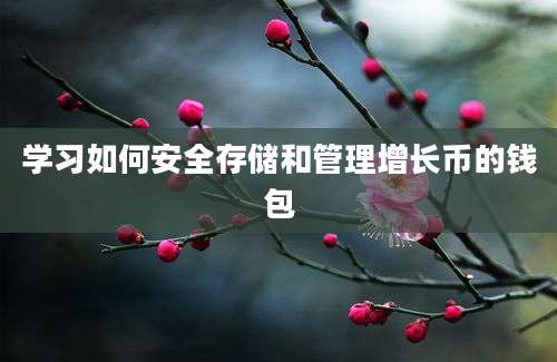 学习如何安全存储和管理增长币的钱包