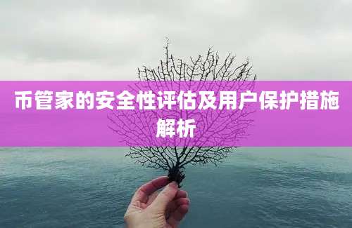 币管家的安全性评估及用户保护措施解析