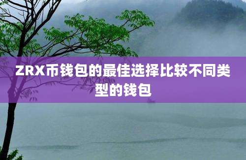 ZRX币钱包的最佳选择比较不同类型的钱包